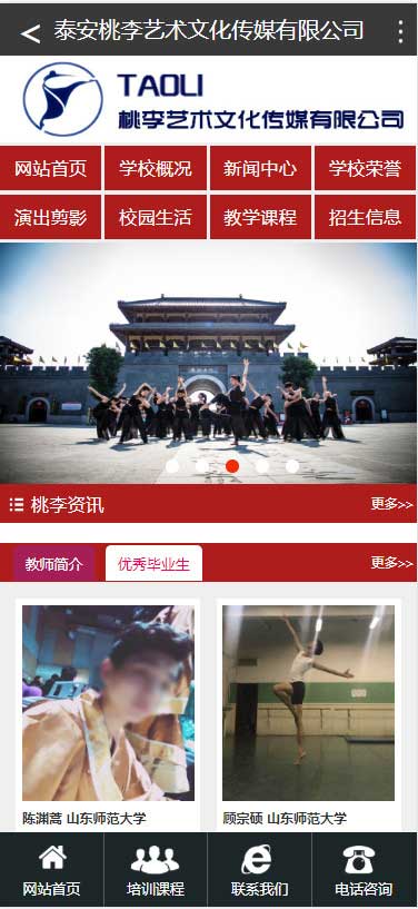 泰安桃李艺术文化传媒有限公司手机版 - 泰安网站开发案例